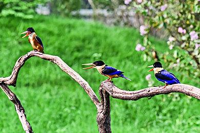 《仙剑奇侠传7》Steam版10月22日正式推出 预售已结束